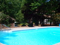 Fabulous In-Ground Pool Fabulous In-Ground Pool