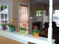 Open Airy and CLEAN!! Open Airy and CLEAN!!